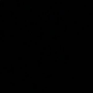 Meet your Posher, Larmart